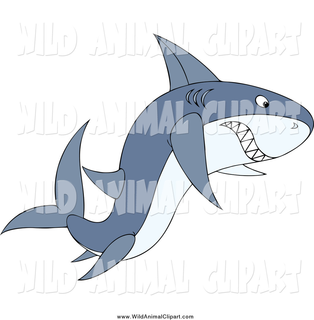 Clip Art Of A Angry Gray Shark With Its Teeth Bared By Alex Bannykh