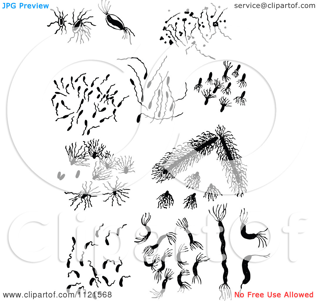 Clipart Of Retro Vintage Black And White Bacteria   Royalty Free