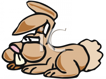 Clipart Picture Of A Rabbit With Buck Teeth   Animalclipart Net