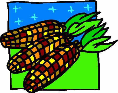 Indian Corn Clipart   Indian Corn Clip Art