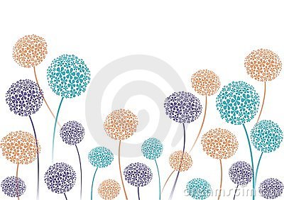 Allium Flower Heads On White To Use As Background Or Border