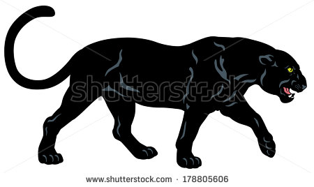 Black Panther Side View Image Isolated On White Background   Stock