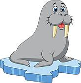 Cartoon Walrus On Floating Ice  Eps Clipart Gg58428857   Gograph