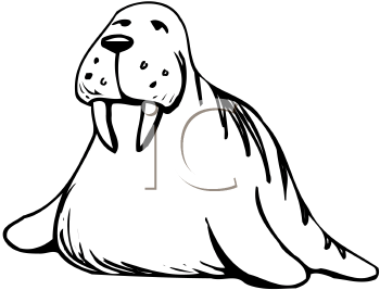 Find Clipart Walrus Clipart Image 9 Of 12