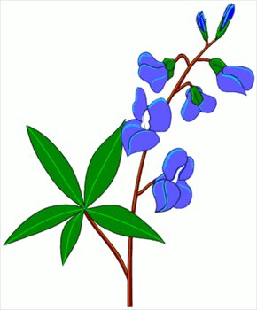 Free Blue Bonnet Clipart   Free Clipart Graphics Images And Photos    