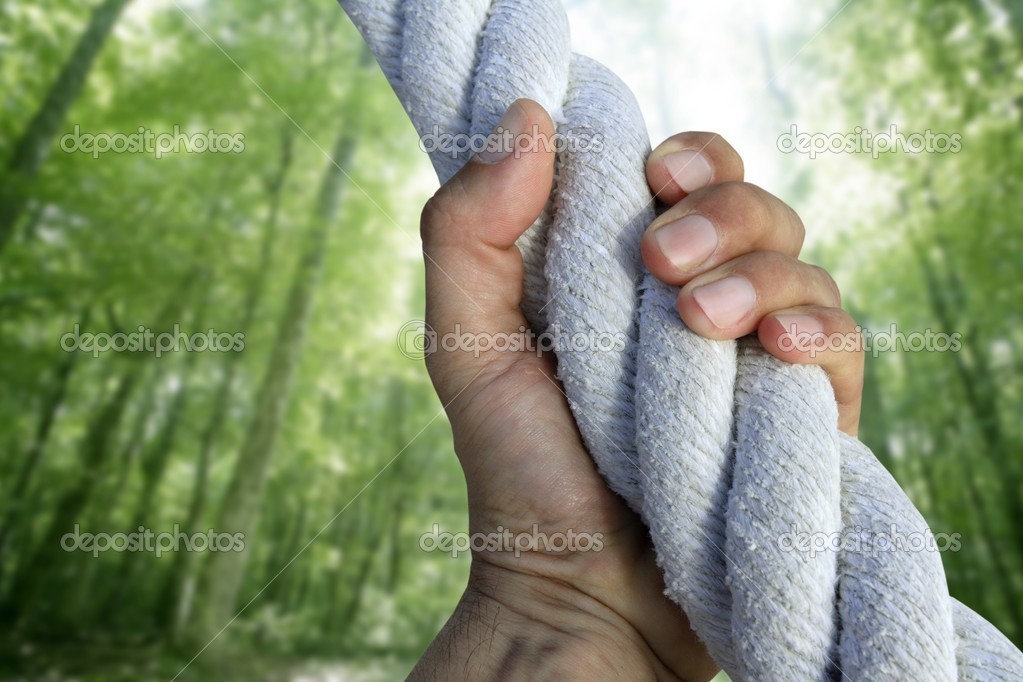 Man Hand Grab Grip Climbing Green Forest Rope   Stock Photo    