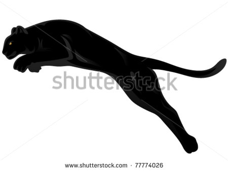 Panther Eyes Clipart
