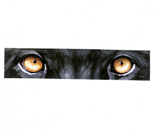 Panther Eyes Panther Eyes Wall Art