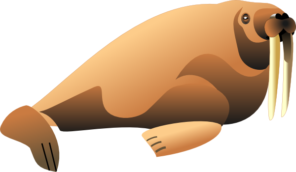 Walrus Animal Clip Art At Clker Com   Vector Clip Art Online Royalty