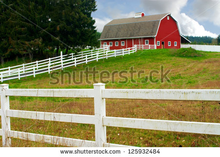 White Fence Leading Up To A Big Red Barn   Stock Photo