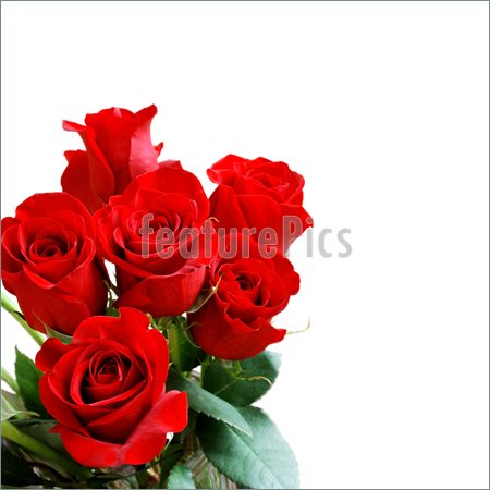 Dozen Roses Clip Art Flower Bouquet Clipart Pic  19
