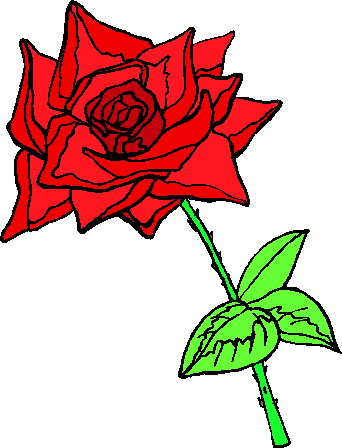 Dozen Roses Clipart Roses Clip Art