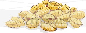 Eps Jpg Png Tweet Pasta Shells Clipart An Enticing Handful Of Pasta