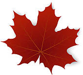 Fall Leaf Clipart No Background   Clipart Panda   Free Clipart Images