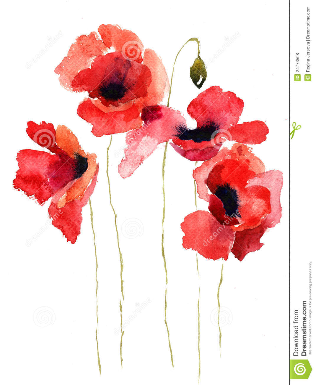Poppy Flower Clip Art Stylized Poppy Flowers Illustration Royalty Free