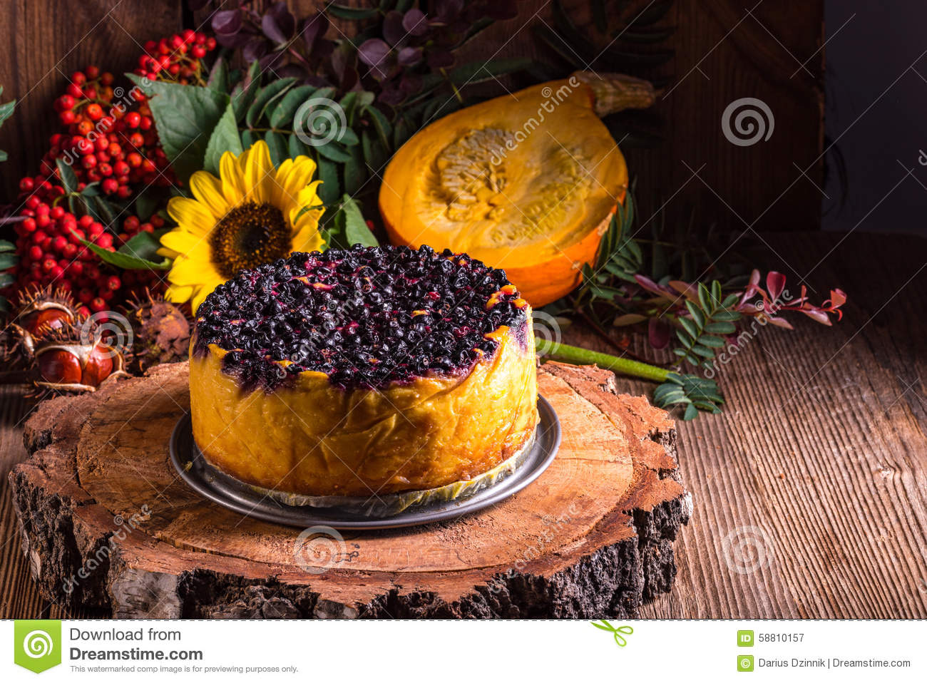 Autumn Pumpkin Cheesecake With Cranberries Stock Photo   Image