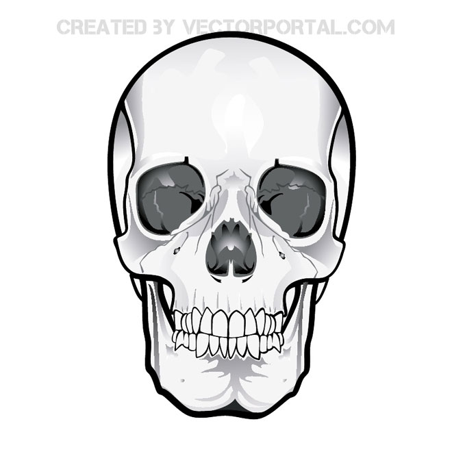 Skull Vector Clipart 2   Download At Vectorportal