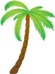 Coconut Tree Black And White Clipart   Free Clip Art Images