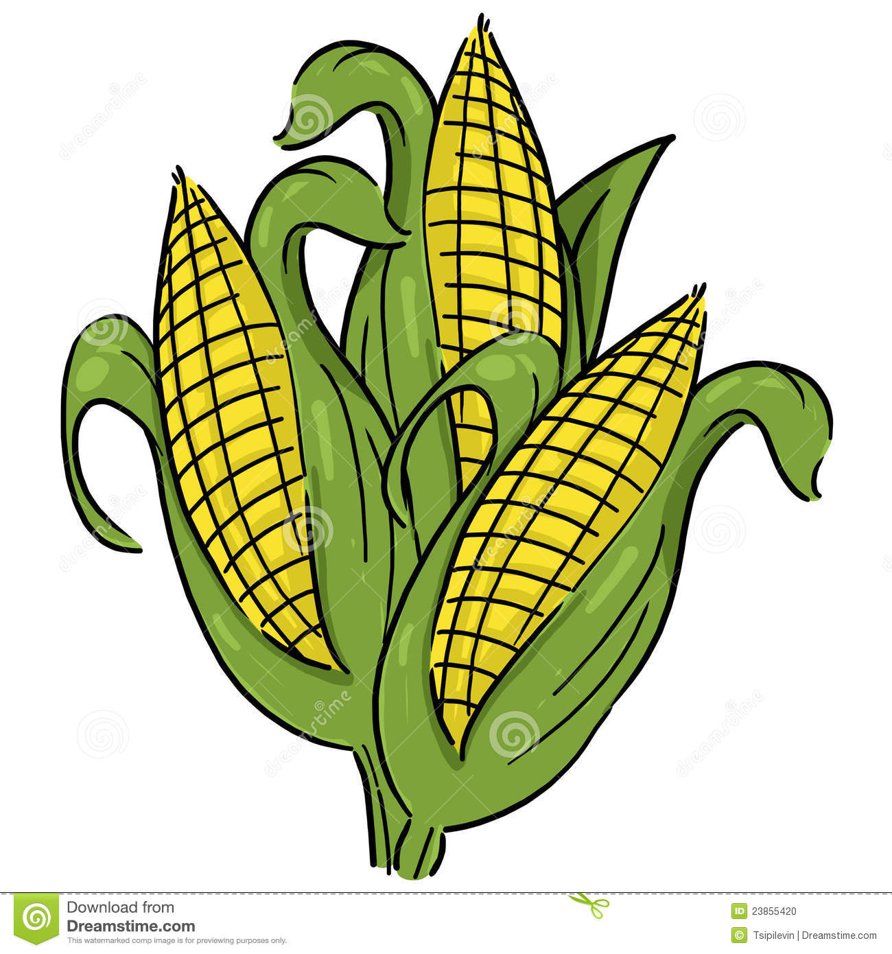 Maize Clipart Maize Black And White Clipart