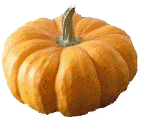 Mini Pumpkin Right Click And Save