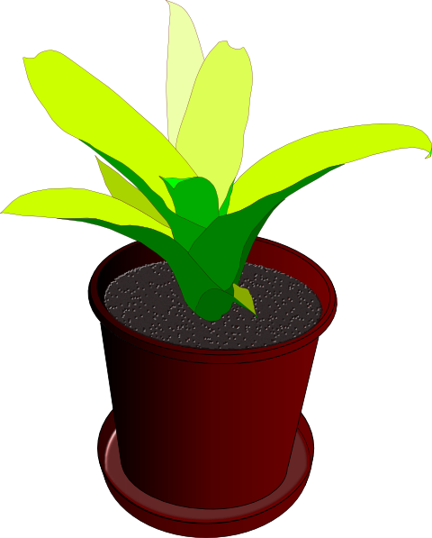 Potted Plant Clip Art At Clker Com   Vector Clip Art Online Royalty    