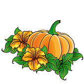 Pumpkin Flower Illustrations And Clipart  567 Pumpkin Flower