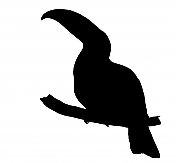 Toucan Bird Silhouette Clipart By Karen Arnold