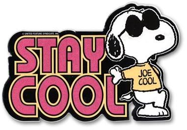Where Can I Find Cool Snoopy Stuff   Description    Answerbag