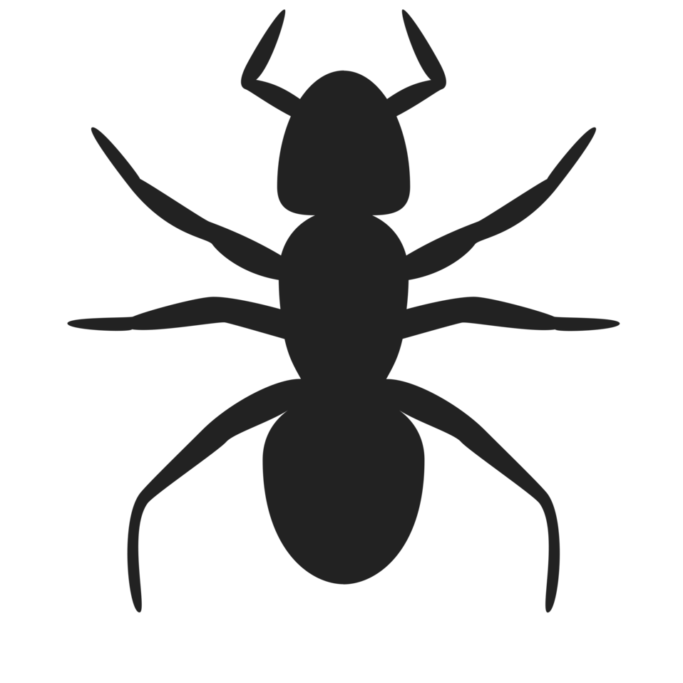 Ant   Free Stock Photo   Illustration Of An Ant Silhouette     10642