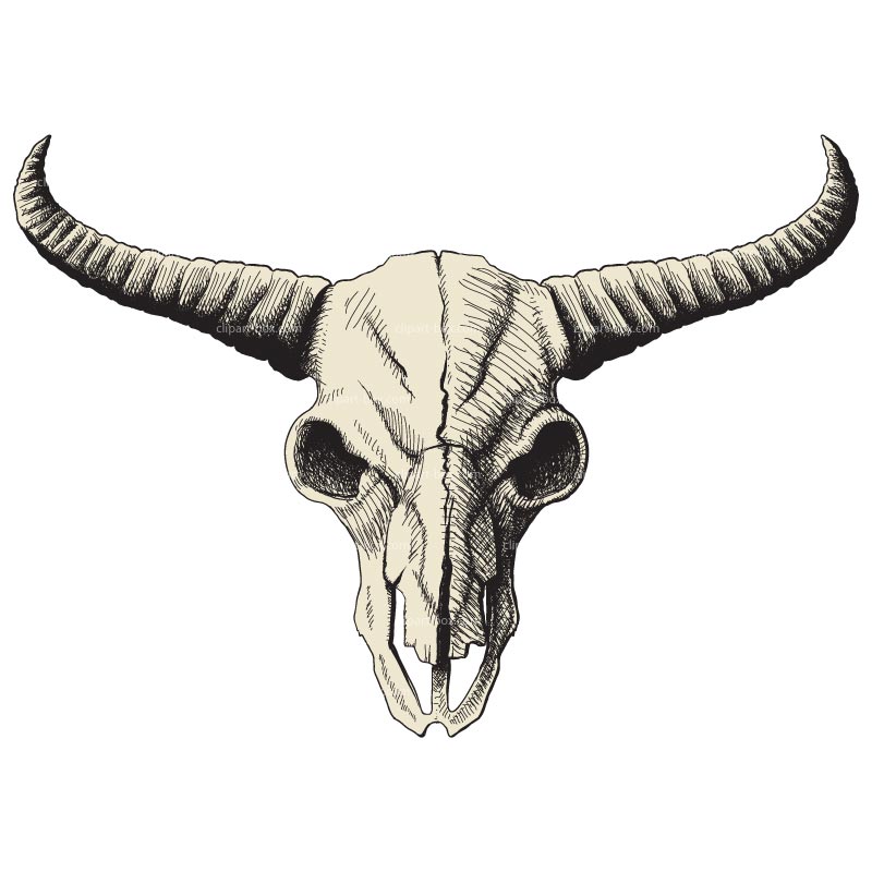 Clipart Buffalo Skull   Royalty Free Vector Design