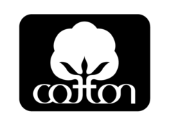 Cotton Boll Vector   Download 50 Vectors  Page 1