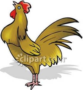 Crowing Rooster   Royalty Free Clipart Picture