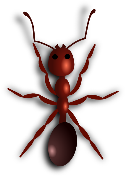 Fire Ant Clip Art At Clker Com   Vector Clip Art Online Royalty Free
