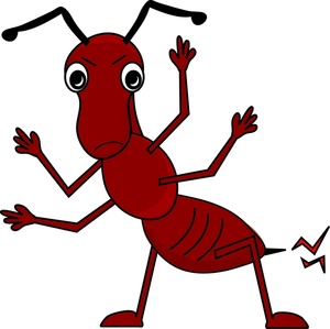 Fire Ant Clip Art Images Fire Ant Stock Photos   Clipart Fire Ant