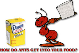 Free Ant Gifs   Animated Ant Clipart