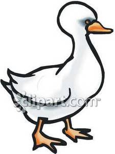 Pin Ducks Foot Clipart Etc On Pinterest