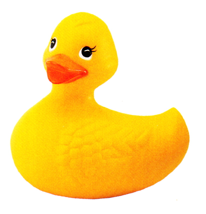 Rubber Duckie  Duck    Muppet Wiki
