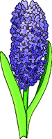 Bluebonnet Flower Clipart Blue Flower Clipart