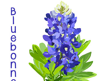Bluebonnet Flower Clipart Bluebonnet Clip Art
