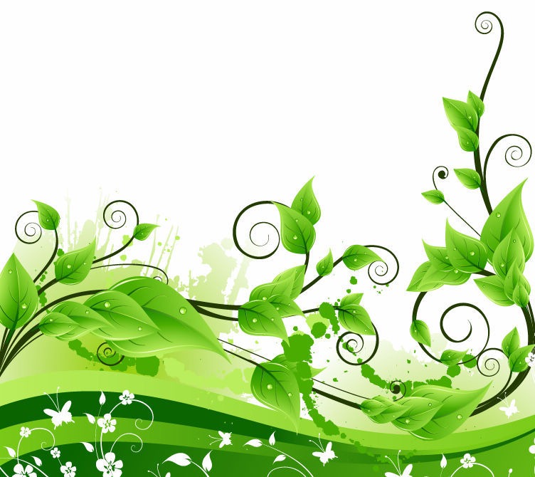 Fresh Green Floral Background   Free Vector Graphics   All Free Web
