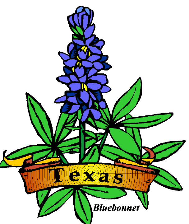 Texas Bluebonnet Flower Source Http Clipartbest Com Texas Symbols