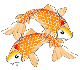 Two Orange Koi Fish Swimming Jpeg