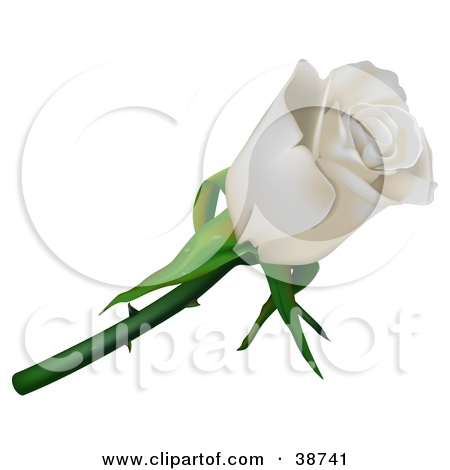Clipart Illustration Of A Single White Rose With Thorns By Dero