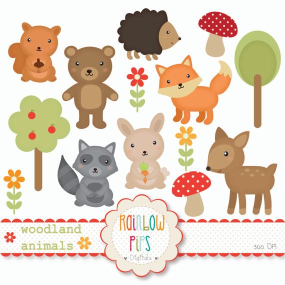 Clipart Sets Woodland Forests Animal Clips Clipart  Generation
