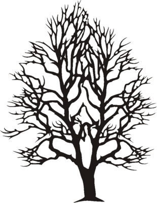 Pecan Tree Clipart Tree Clipart Images  Tree