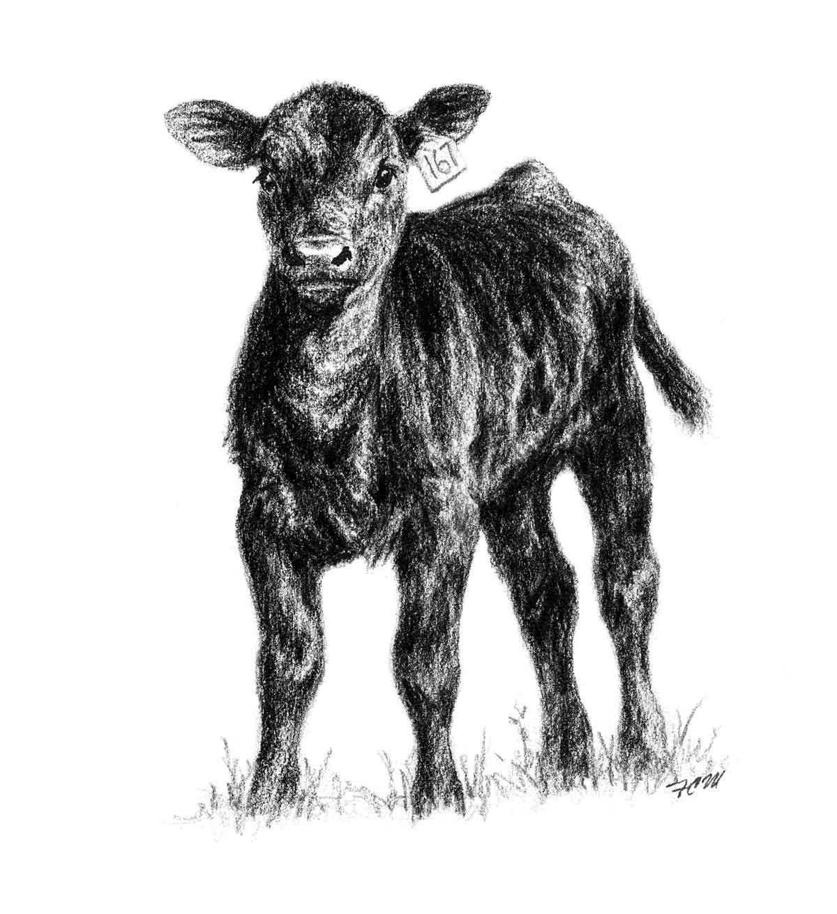 Pin Angus Cow Calf Clip Art On Pinterest