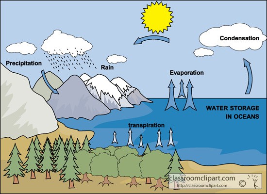 Water Cycle Diagram   Probrogeogblog