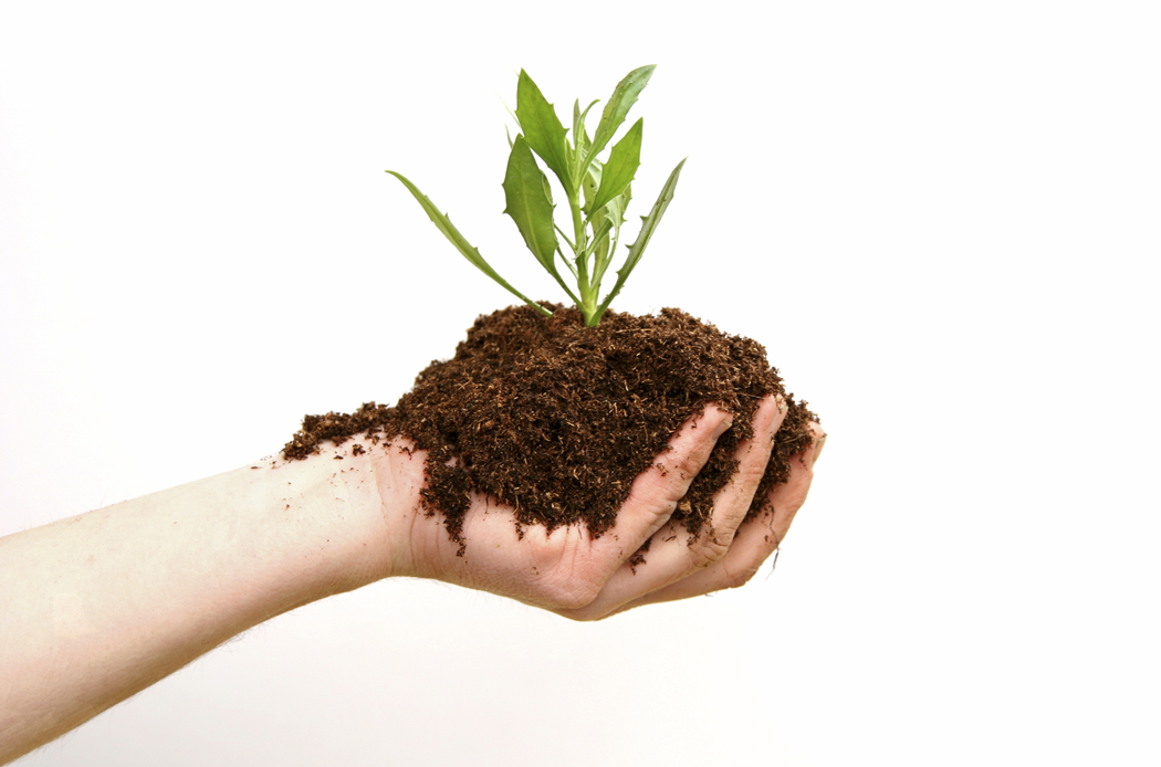 Components Of Organic Fertilizer Image By Microsoft Office Clip Art
