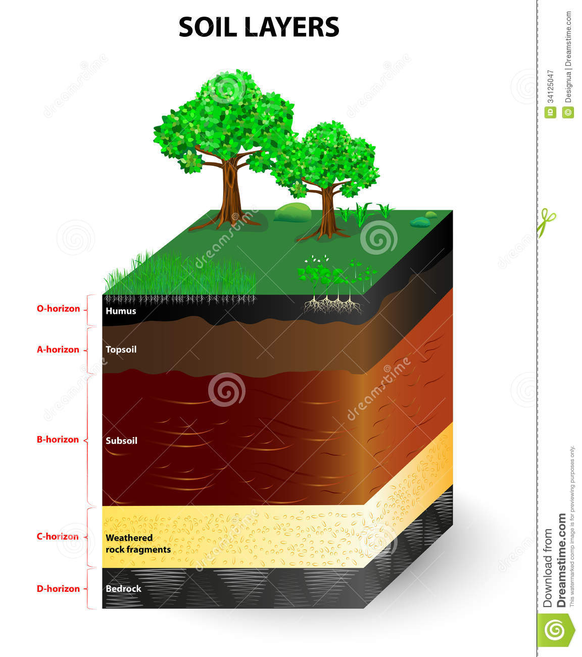 Soil Formation And Soil Horizons  Soil Is A Mixture Of Plant Residue