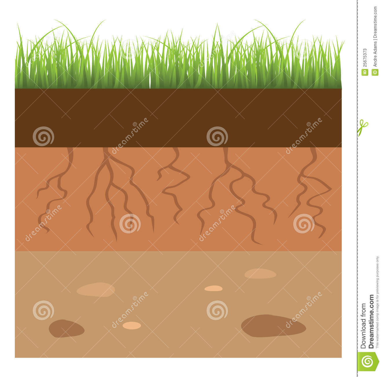 Soil Layer Stock Photos   Image  25675373